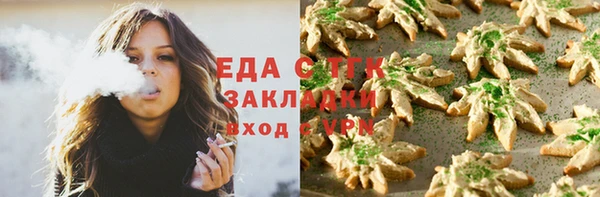 СК Ельня