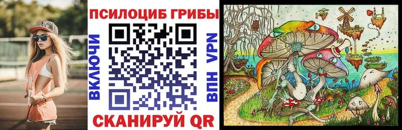 Псилоцибиновые грибы мухоморы  Купить  Дегтярск 